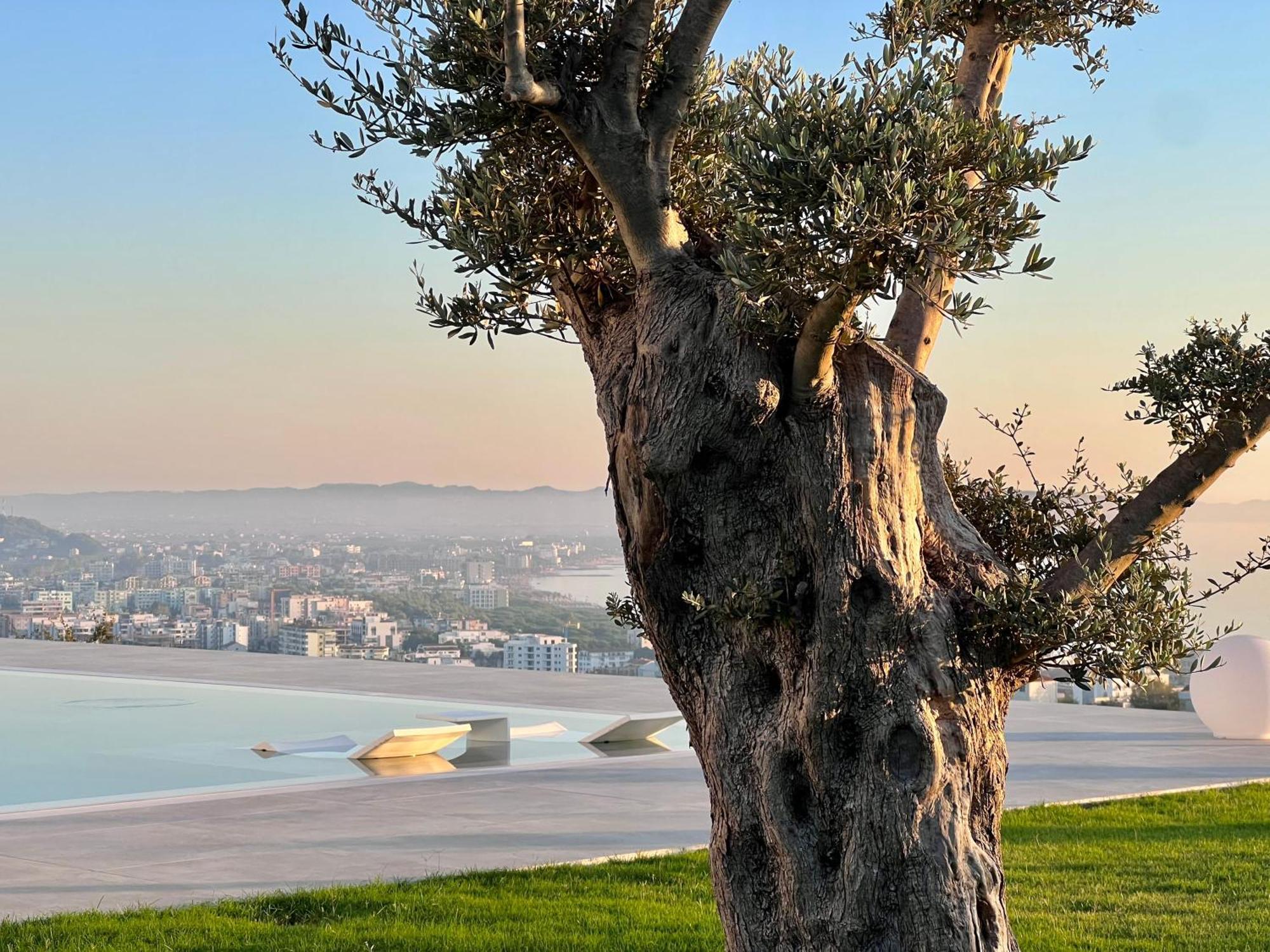 Villa Esmi Durres Kryemëdhenji Exterior foto
