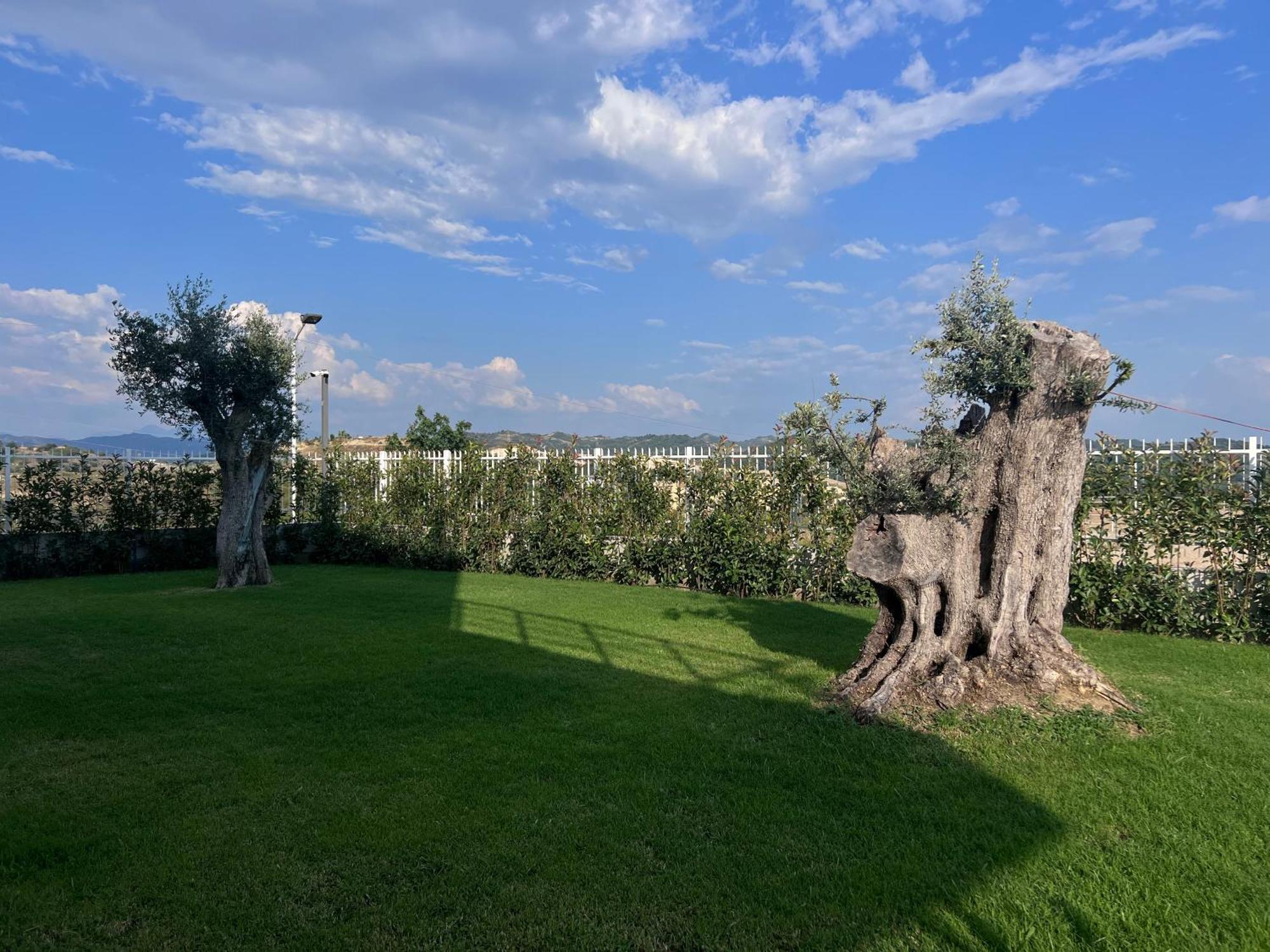 Villa Esmi Durres Kryemëdhenji Exterior foto